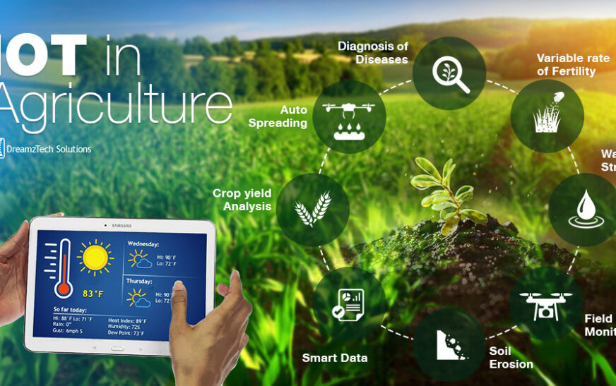 Smart Farming: How IoT is Changing Agriculture